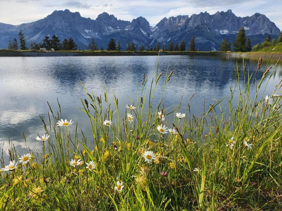 Апартаменты Haus Strobler Going am Wilden Kaiser Экстерьер фото