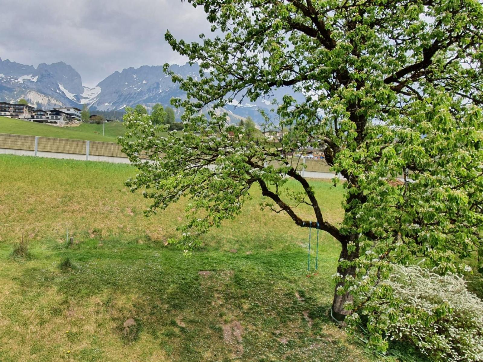 Апартаменты Haus Strobler Going am Wilden Kaiser Номер фото